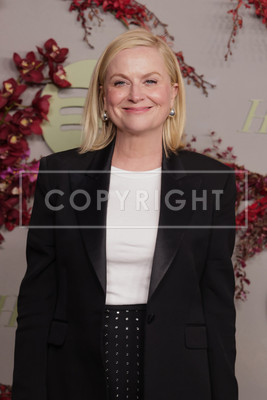 Amy Poehler