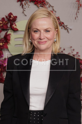 Amy Poehler