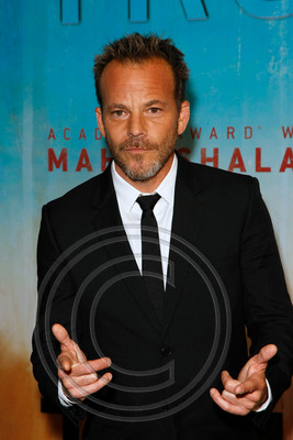 Stephen Dorff