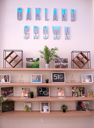 ECO Cannabis Oakland - Grand Opening Media Event, Oakland, USA 28 MAR 2019