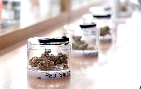 ECO Cannabis Oakland - Grand Opening Media Event, Oakland, USA 28 MAR 2019