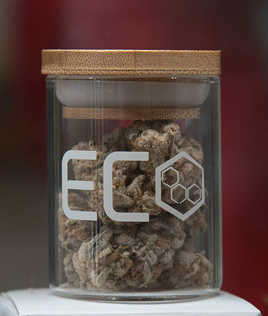 ECO Cannabis Oakland - Grand Opening Media Event, Oakland, USA 28 MAR 2019