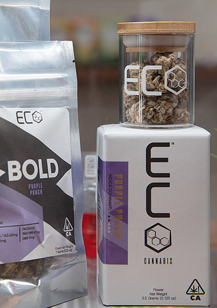 ECO Cannabis Oakland - Grand Opening Media Event, Oakland, USA 28 MAR 2019