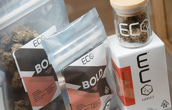 ECO Cannabis Oakland - Grand Opening Media Event, Oakland, USA 28 MAR 2019