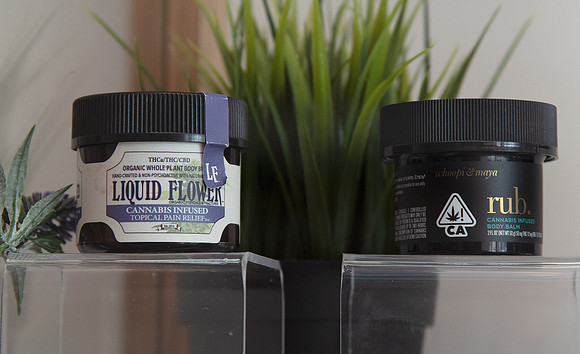 ECO Cannabis Oakland - Grand Opening Media Event, Oakland, USA 28 MAR 2019
