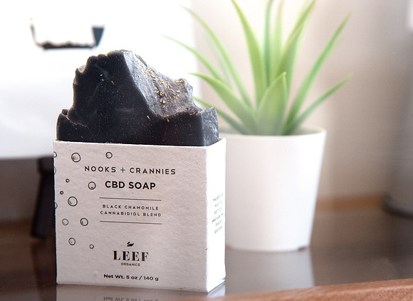 ECO Cannabis Oakland - Grand Opening Media Event, Oakland, USA 28 MAR 2019
