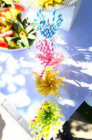 Coachella PopSugar X Bud Light Ritas Party